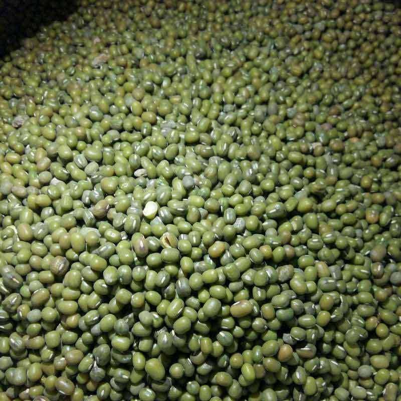kacang hijau